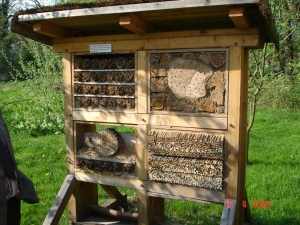 Bau eines Insektenhotels / Wildbienen