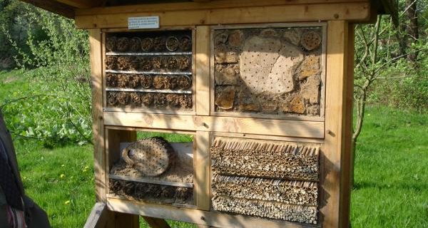 Bau eines Insektenhotels